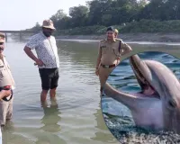  बाराबंकी :  शारदा नहर में फंसी मां-बच्चे डॉल्फिन की मौत, हीट स्ट्रोक की आशंका;रेस्क्यू ऑपरेशन भी फेल