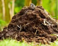 यूपी में गोबर से बनी खाद पर सब्सिडी देगी सरकार, 7500 गो आश्रय स्थलों को बनाया जाएगा जैविक खाद उत्पादन केंद्र