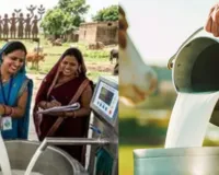 यूपी की ग्रामीण महिलाएं बनेंगी ‘डिजिटल डेयरी मैनेजर’, मोबाइल एप से चलेगा दुग्ध कारोबार 