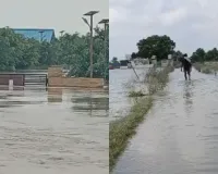 यमुना किनारे बसे गांवों पर मंडराया बाढ़ का साया :  अलर्ट मोड पर गौतमबुद्धनगर जिला प्रशासन, बचाव कार्य के लिए तैयारियां तेज 