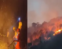 आधी रात उत्तरकाशी के जंगलों में लगी आग, पर्यावरण और वन्यजीवों को भारी नुकसान; NDRF-SDRF ने संभाला मोर्चा