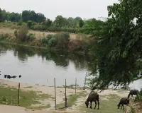 Barabanki News : गोमती नदी बनी मौत का कुंड! पांच साल में सगे भाइयों समेत 12 की डूबकर मौत, बैरिकेटिंग की मांग अब भी अधूरी
