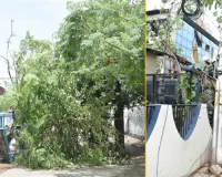 Bareilly News : आंधी ने मचाई तबाही.. जिले में 124 बिजली खंभे क्षतिग्रस्त, सप्लाई ठप