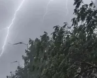UP Weather : यूपी में आंधी-बारिश का अलर्ट, 70 किमी प्रति घंटे तक चल सकती हैं हवाएं, गोरखपुर, बस्ती समेत कई जिलों में वज्रपात की चेतावनी