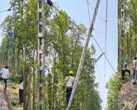 Gonda News: मनकापुर-नवाबगंज रेलखंड पर साखू का पेड़ गिरने से ओवरहेड तार क्षतिग्रस्त, ढाई घंटे ठप रहा रेल संचालन