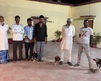 Bareilly News: मुर्गा लड़ाकर हार-जीत की लगा रहे थे बाजी, पुलिस ने गिरफ्तार किए 6 जुआरी
