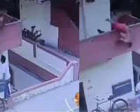 10 रुपये की आइसक्रीम के लिए लगाया शॉर्टकट, बालकनी से नीचे गिरा युवक; CCTV वीडियो वायरल
