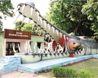 कुकरैल में बनेगी देश की पहली नाइट सफारीः 5000 एकड़ का 'ऑक्सीजन हब' ऐसे बना पर्यटकों का पसंदीदा ठिकाना 
