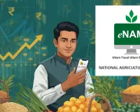ई-नैम पोर्टल 2.0 लॉन्च: अब यूपी की 162 मंडियों में आढ़ती खुद करेंगे फसलों की ऑनलाइन नीलामी, किसानों को होगा बड़ा फायदा