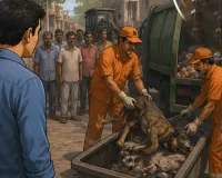 Short Story: वफादार कुत्तों का दर्द... सुबह प्यार, शाम को मौत