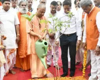 World Environment Day 2026: यूपी में हरियाली का महाअभियान, 9 वर्षों में रोपे गए 242 करोड़ पौधे, आज फिर बनेगा महा रिकॉर्ड, CM योगी ने की शुरुआत