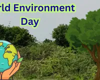 World Environment Day: कागजी दावे छोड़ उन्नाव के वन कर्मियों ने कर दिखाया कमाल... बंजर भूमि को 'सीडबॉल' तकनीक से बनाया 'ऑक्सीजन हब'