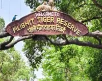 Pilibhit News: PTR घूमने आए गुजरात के पर्यटकों से ठगी का आरोप, फर्जी रसीद थमाकर की अवैध वसूली