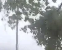  प्रयागराज : आंधी-तूफान के बाद लालापुर-घूरपुर मार्ग बाधित, हाईटेंशन लाइन टूटने से कई गांवों में ब्लैकआउट