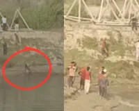 गोंडा में मगरमच्छ ने मजदूर को जबड़ों में दबोचा, साथी मजदूर की बहादुरी से बची जान