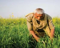 कम बारिश में भी होगी अच्छी पैदावार,  कृषि विभाग ने दी फसलों का बीमा करने की सलाह ; इन फसलों की खेती पर दिया जोर