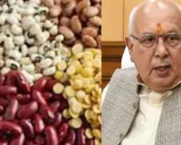 यूपी में उड़द, मूंग और मूंगफली खरीद का लक्ष्य तय, रबी फसलों की अवधि बढ़ी 