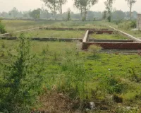 Barabanki News:  वन भूमि पर प्लाटिंग का खेल! देवा-फतेहपुर मार्ग पर नींव भरकर काटे जा रहे प्लॉट, वन विभाग बेखबर