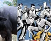  जौनपुर : भैंस बांधने को लेकर दो पक्षों में चले लाठी-डंडे, मारपीट में एक की मौत, चार आरोपी दबोचे
