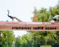 लखनऊ चिड़ियाघर में भीषण गर्मी से वन्यजीव बेहाल, प्रशासन के फीके पड़े इंतजाम