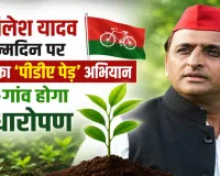 अखिलेश यादव जन्मदिन: सपा का ‘पीडीए पेड़’ अभियान, 1 से 7 जुलाई तक गांव-गांव होगा पौधारोपण