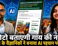 IVRI बरेली का कमाल: अब फोटो देखकर AI बताएगा गाय की नस्ल, जल्द बनेगा मोबाइल एप