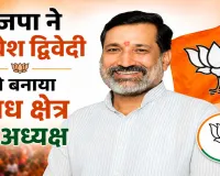UP BJP New Team: भाजपा ने अवधेश द्विवेदी को बनाया अवध क्षेत्र का अध्यक्ष, अंबेडकरनगर को मिला बड़ा प्रतिनिधित्व