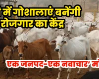 यूपी में गोशालाएं बनेंगी रोजगार का केंद्र, ‘एक जनपद-एक नवाचार’ मॉडल से बढ़ेगी ग्रामीण अर्थव्यवस्था