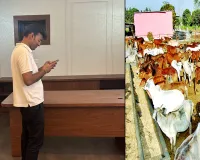 Bareilly News : 120 गोशालाओं पर कंट्रोल रूम से 24 घंटे रखी जाएगी नजर