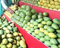 Budaun News : मीठे आम अब पड़े महंगे, सीजन खत्म होते ही बढ़े दाम