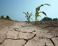 Bareilly News : सूख रही धरती की कोख, सात इलाकों मे तेजी से गिरा वाटर लेवल