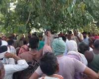 Gonda News : घाघरा नदी में मगरमच्छ का कहर, हमले में भैंस चराने गए युवक की मौत, दहशत में नदी किनारे के गांव