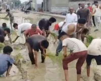 Sitapur News : जर्जर सड़क पर लोगों ने की धान की रोपाई, जलभराव के विरोध में अनोखा प्रदर्शन, देखें वीडियो