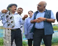 Kanpur News : खेत तालाब बना कमाई का नया जरिया, कानपुर में मोती की खेती का अनोखा मॉडल देखने पहुंचे डीएम