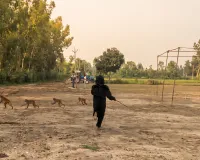 Sambhal News : भालू बना किसान तो बंदरों में मची भगदड़, अनोखे जुगाड़ से बच रही फसल