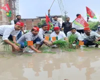 Hardoi News : हरदोई में जलभराव के विरोध में सड़क पर धान की रोपाई, सपा नेता ने कीचड़ में गाड़े भाजपा के झंडे