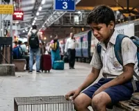 Amroha News : कबूतर चोरी की डांट के डर से घर छोड़ भागा पांचवीं का छात्र, हसनपुर से सकुशल बरामद