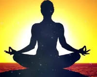 भारतीय योग अनुभूत दर्शन है और विज्ञान भी