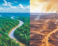 अमेजन का संकट और वैश्विक उदासीनता  