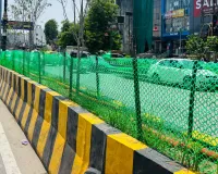 Bareilly News : बरेली नगर निगम की नई पहल, प्लास्टिक की हरी जालियों से सुरक्षित होंगे डिवाइडर के पौधे