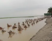 Barabanki News: बाढ़ से बचाव कार्य लीलने को बेताब सरयू, तीन तहसीलों में अलर्ट; प्रशासन ने लोगों से की यह खास अपील