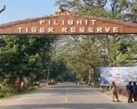 Pilibhit Tiger Reserve : अब सरकारी योजनाओं का लाभ भी दिलाएंगे 'बाघ मित्र', नई जिम्मेदारी के लिए मिलेगा विशेष प्रशिक्षण
