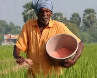 किसानों को खाद की कमी नहीं होगी,  योगी सरकार ने उपलब्धता पर कड़ी निगरानी के दिए निर्देश