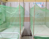 Dengue Alert: माल CHC में बना 4 बेड का विशेष वार्ड, मच्छरदानी से लैस सुविधा; स्वास्थ्य विभाग ने जारी की एडवाइजरी