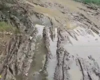 हरदोई के मैकपुर में बदहाल सड़क और जलभराव से बढ़ी मुश्किलें, ग्रामीणों ने जिलाधिकारी से लगाई समाधान की गुहार