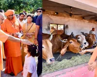 देवीपाटन शक्तिपीठ पहुंचे CM योगी: मां पाटेश्वरी की विधि-विधान से पूजा, गौशाला में की गौसेवा और लिया व्यवस्थाओं का जायजा