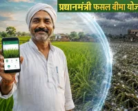 PM Fasal Bima Yojana 2026: 31 जुलाई तक कराएं फसल बीमा, जानिए ऑनलाइन आवेदन प्रक्रिया, जरूरी दस्तावेज की स्टेप वाइज डिटेल 