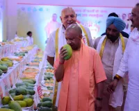 UP Mango Festival 2026: सीएम योगी ने किया आम महोत्सव का शुभारंभ, 800 से ज्यादा प्रजातियां का हुआ प्रदर्शन