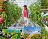 UP Horticulture Scheme: बागवानी की हाईटेक खेती पर योगी सरकार का बड़ा दांव, जानें कैसे किसानों को 50% तक सब्सिडी, SC-ST क्षेत्रों में 75% तक अनुदान