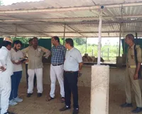 Bahraich News: SDM के छापे में खुली गौशालाओं की हकीकत! गोवंश मिले कम, भूसे का स्टॉक भी निकला नाकाफी